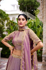 Festive Special Designer Fendy Silk Sequence Embroidery Work Lehenga choli