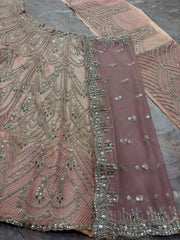 Party-wear Butterfly Coding Sequence Stone Work Lehenga Choli