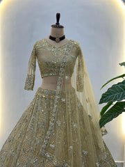 Royal Elegant Butterfly Net Sequins & Codding Embroidery Work Lehenga Choli