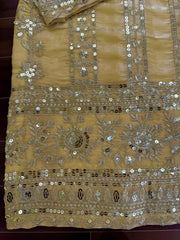 Party-wear Jimmy Choo Thread With Sequence Work Suit