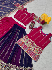 Beautiful Georgette Embroidery Coding Sequence Work Darbari Poshak