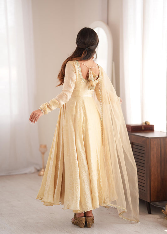 Beautiful Doremon Crush Silk With Real Mirror Work Gown