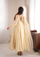 Beautiful Doremon Crush Silk With Real Mirror Work Gown
