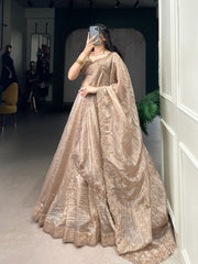 Wedding Special Gold Crush Beautiful Lehenga Choli