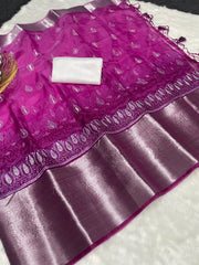 Elegance & Tradition Organza Silk Embroidery All Over Saree