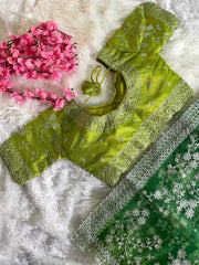 Party-wear Soft Organza Silk Embroidery Panel Work Saree