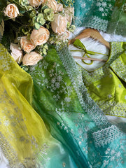 Party-wear Soft Organza Silk Embroidery Panel Work Saree