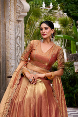 Festive Special Designer Fendy Silk Sequence Embroidery Work Lehenga choli