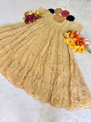 Summer Wear Mull Cotton Chanderi Embroidery Work Gown
