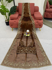 Beautiful Brown Burberry Silk Thread With Sequence Work Saree