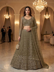 Beautiful Party-wear Butterfly  Net Embroidery & Sequins Work Lehenga Choli