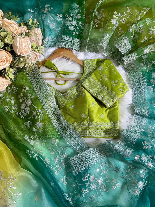 Party-wear Soft Organza Silk Embroidery Panel Work Saree