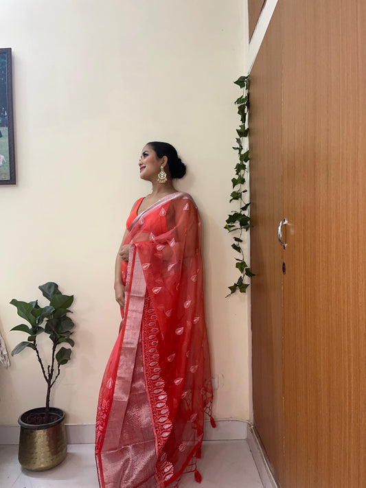 Elegance & Tradition Organza Silk Embroidery All Over Saree