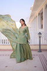 Beautiful Fendy Crush With Zari Sequence Embroidery Work Sharara