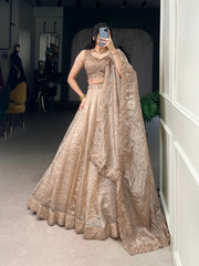 Wedding Special Gold Crush Beautiful Lehenga Choli