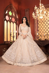 Engagement Special Net Embroidery & Embroidery Work Lehenga Choli