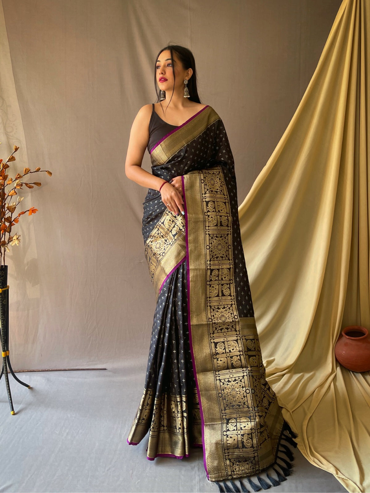 Beautiful Kanjivarm Silk Saree
