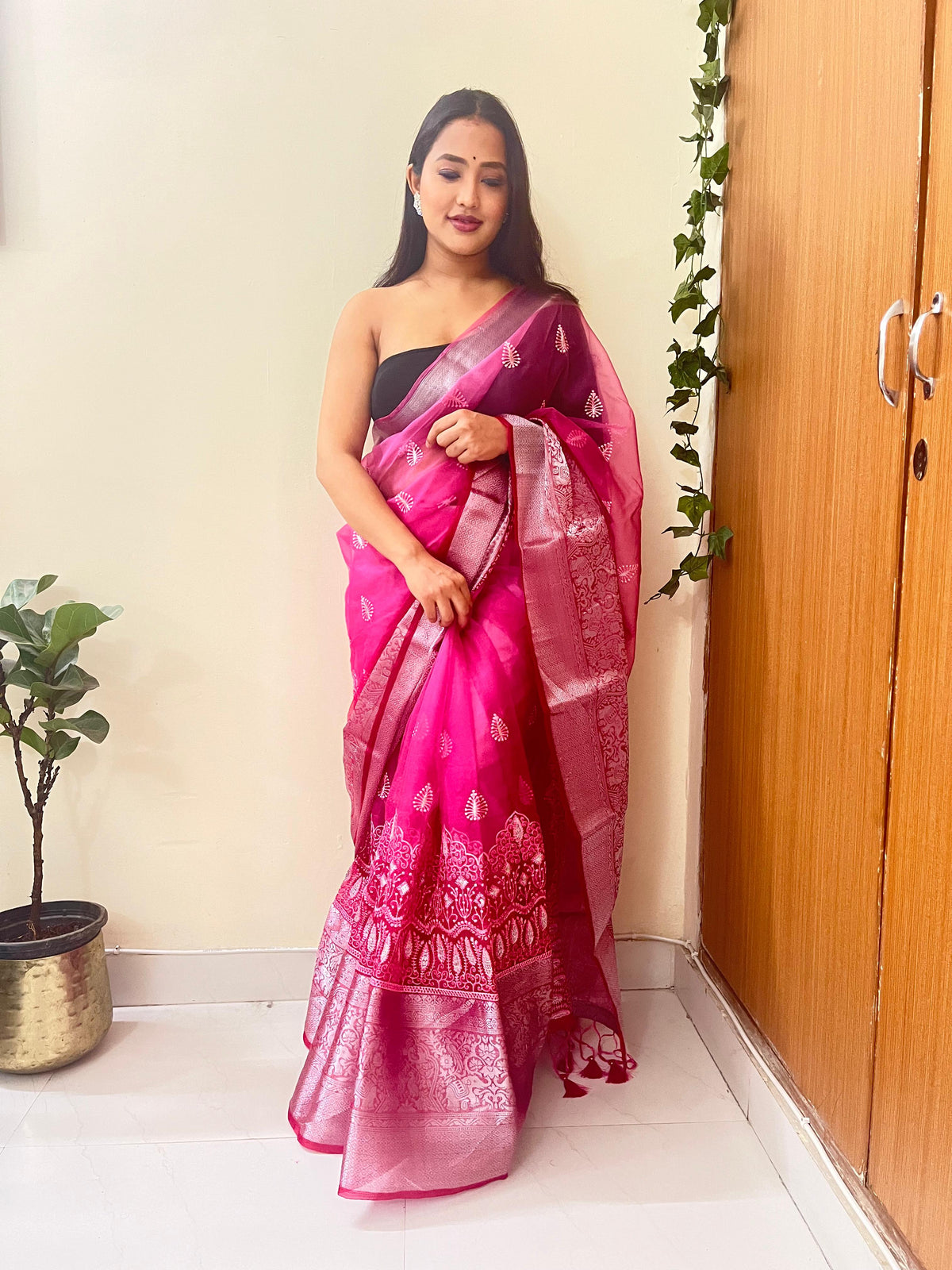 Elegance & Tradition Organza Silk Embroidery All Over Saree