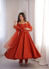 Beautiful Soft Nylon Net With Fancy Mirror Lace Gown