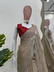 Trending Designer Jimmy Choo Thread & Sequence Work Saree