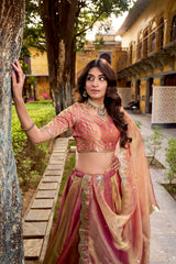 Festive Special Carika Silk Lehenga Choli
