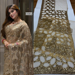 Bollywood Blockbuster Net Sequence Designer Saree