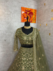 Party-wear Premium Quality Soft Net Embroidery Sequins Work Lehenga Choli
