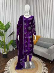 Elegant Ethnic Viscose Velvet Thread & Sequence Work Suit