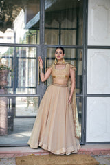 Festive Special Designer Fendy Silk Sequence Embroidery Work Lehenga choli