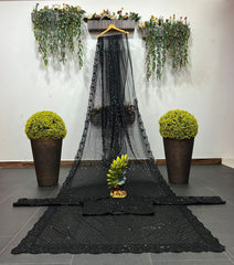 Bollywood Blockbuster Black Beautiful Designer Saree
